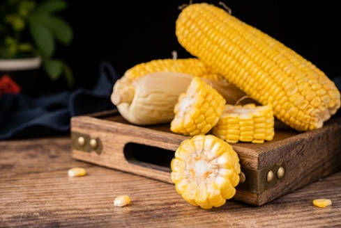 脾虚10大必吃食物