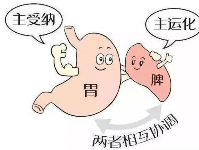 为什么会有脾虚 盘点脾虚的4大病因