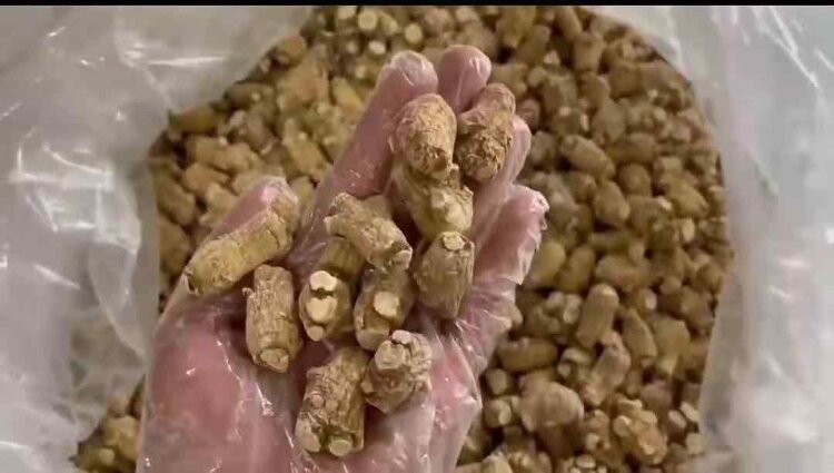 玉灵膏原料—进口西洋参