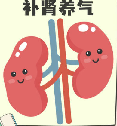 补肾养气血的最好方法