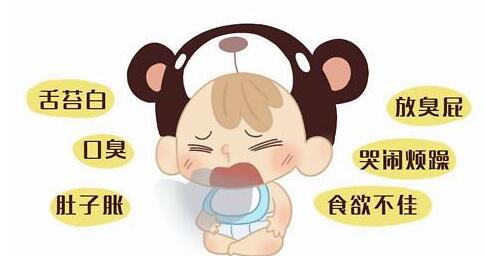 积食，脾胃不和、脾胃虚弱、是一回事吗？