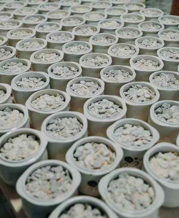 玉灵膏的功效与作用之玉灵膏制作方法1