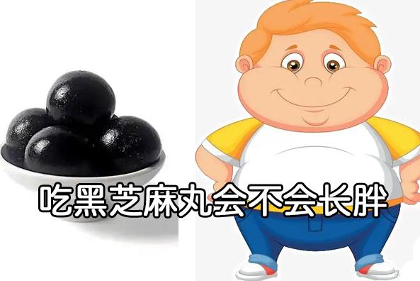 吃黑芝麻丸会不会长胖？这种芝麻丸不但不会胖而且效果很好