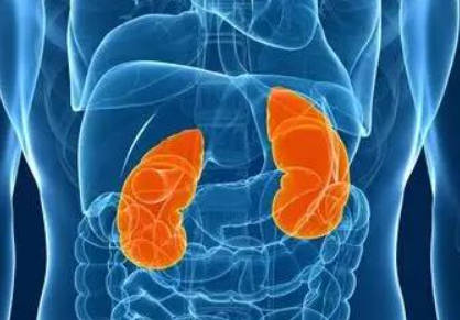 身体有这些症状说明肾精快用光了