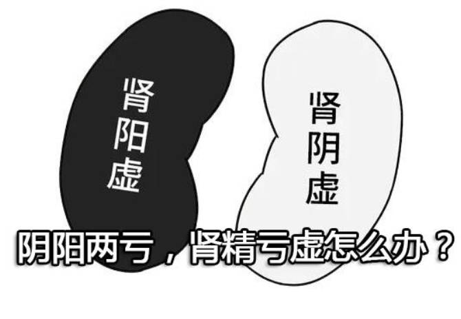 阴阳两亏，肾精亏虚怎么办？