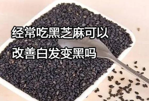 经常吃黑芝麻可以改善白发变黑吗？正宗的芝麻丸是可以的