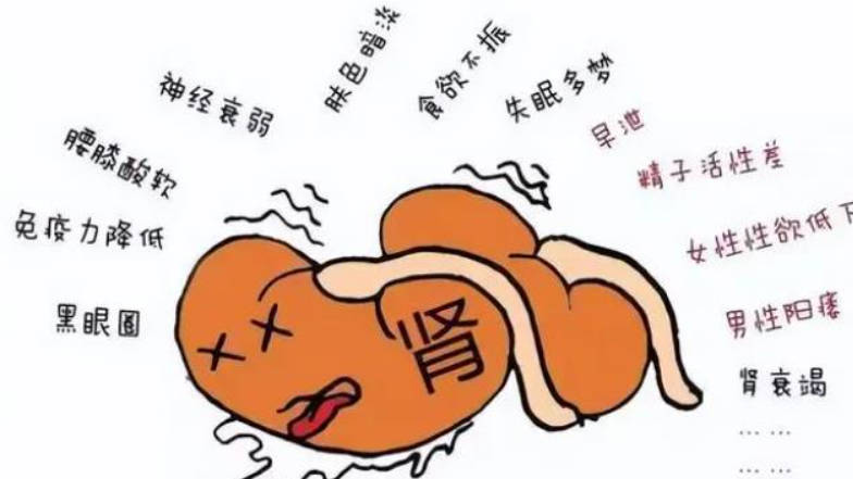 肾不好，主要有这几个特征