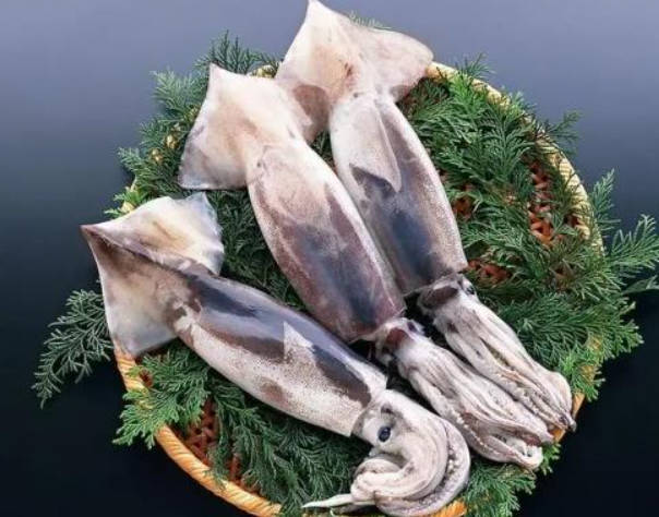 补血秘方二：鲜乌贼鱼肉