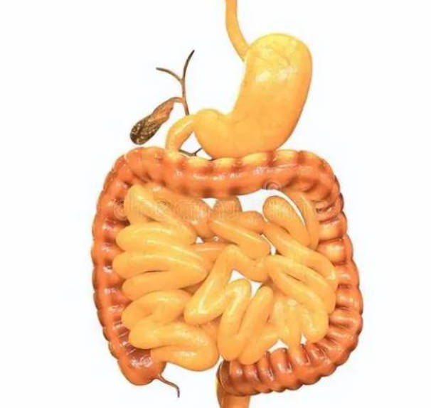 3种常见的气血亏虚的原因