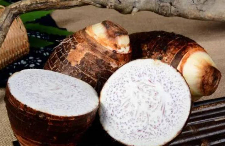 冬季补肾的蔬菜