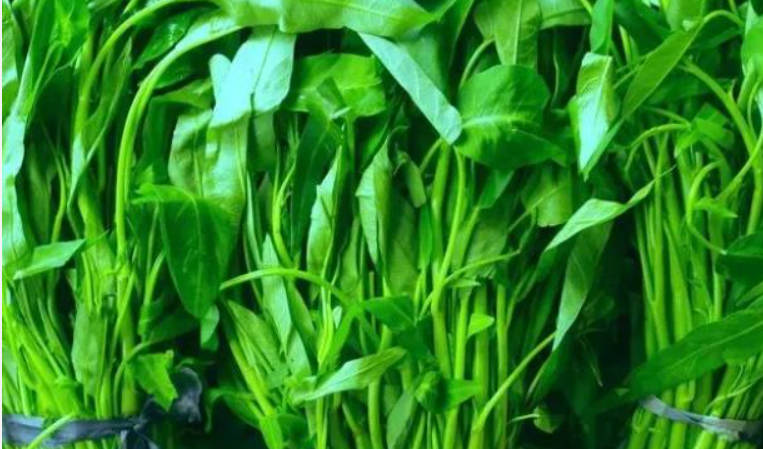 冬季补肾的主食