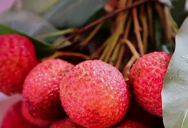 3种食物，补肾养肾用处大