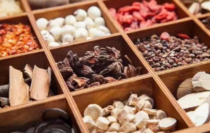 日常生活中可以起到补肾作用的食品