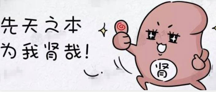 枸杞加它补肾可以达到阴阳双补