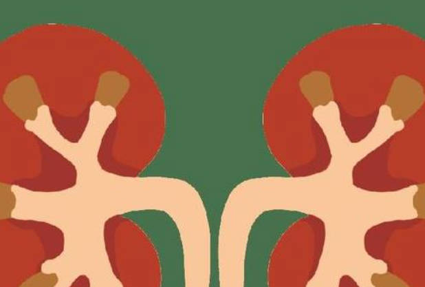 肾损伤的5个“求救信号”