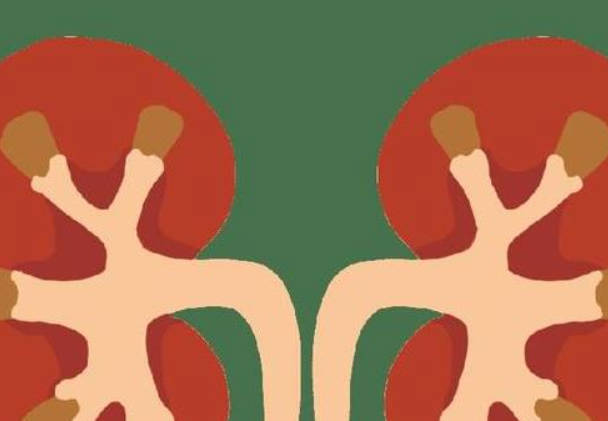 男性平时常做3个动作，养肾护肾更健康