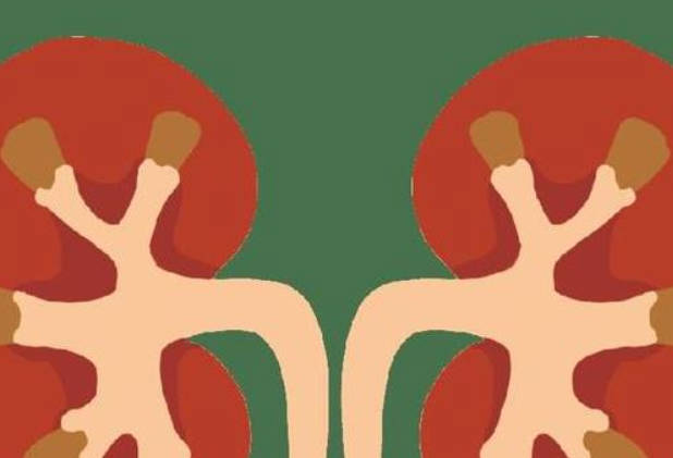 补肾，不是韭菜，男性常吃，或能提高男性魅力