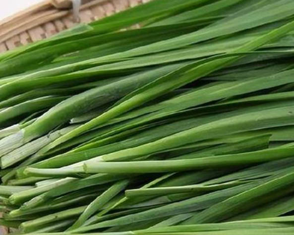 吃韭菜补肾吗？