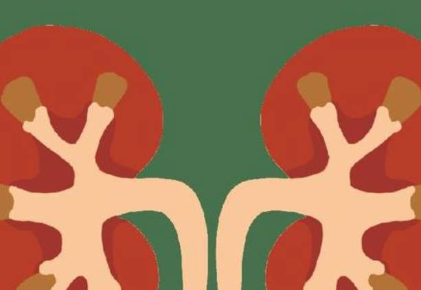 男性伤肾的行为有哪些？