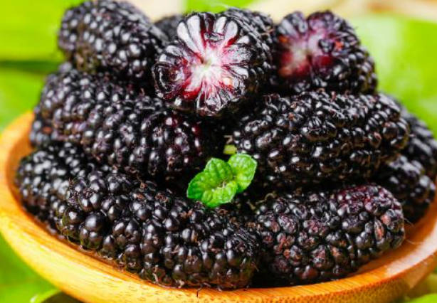 补肾推荐食品：桑葚