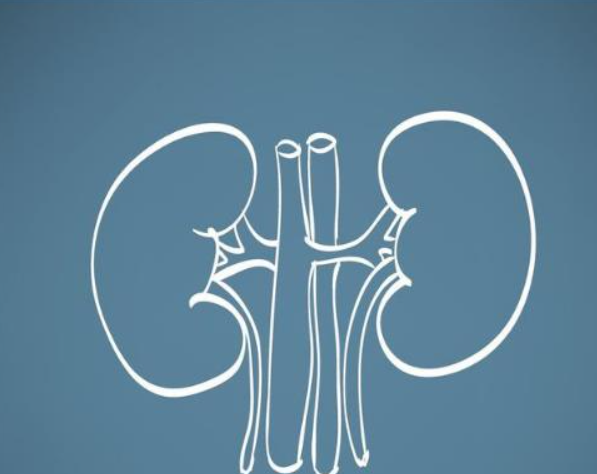 肾不好，身体发出的5个信号