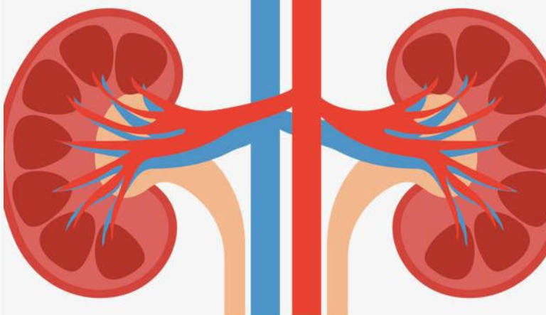 熬夜会不会肾虚？