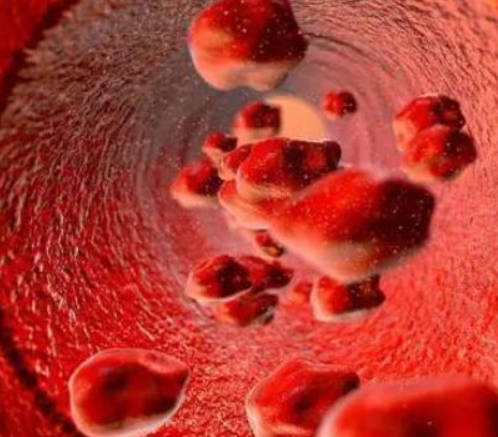 哪些食物有着补血功效？