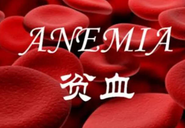 调理贫血的四种食物，哪一种都不要错过