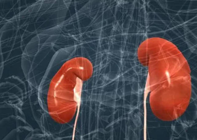 保护肾功能的方法