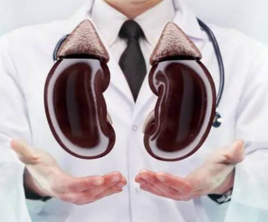 哪些食物能够预防和治疗肾虚呢？