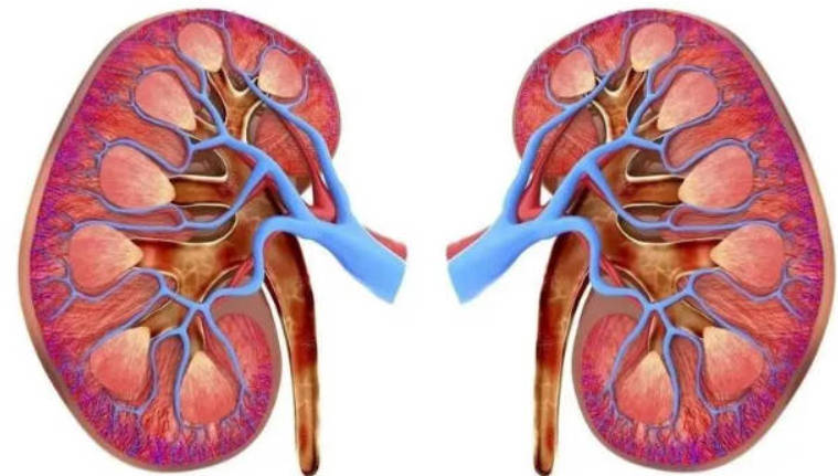 哪些生活习惯会过分消耗肾精？