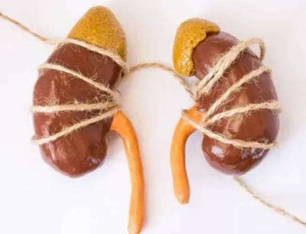 多吃以下三类食物，来补足肾气和调理身体