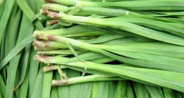 想要养身补肾，5类食物也许更胜一筹