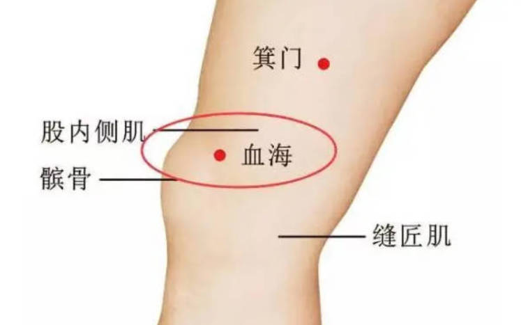人体补血的第一要穴，它就是血海穴