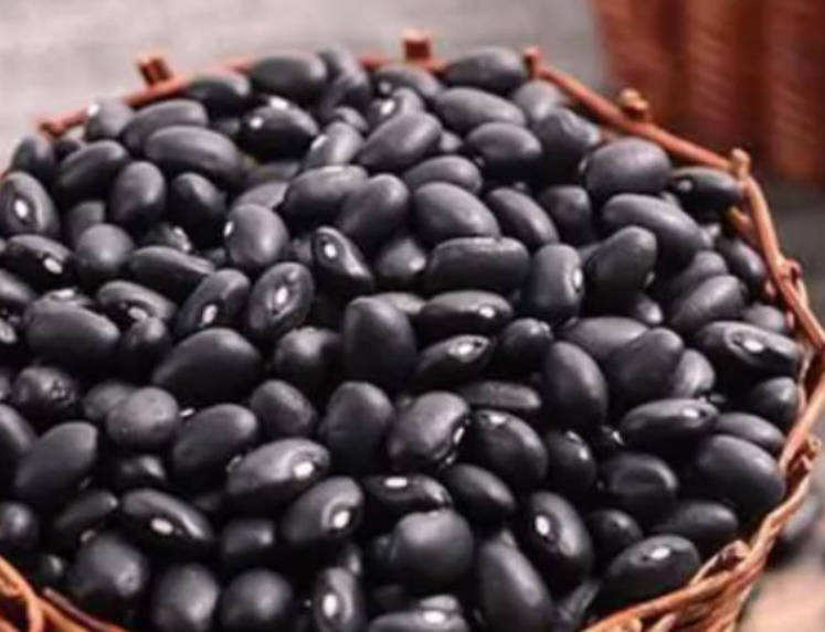 哪些食物补肾有奇效