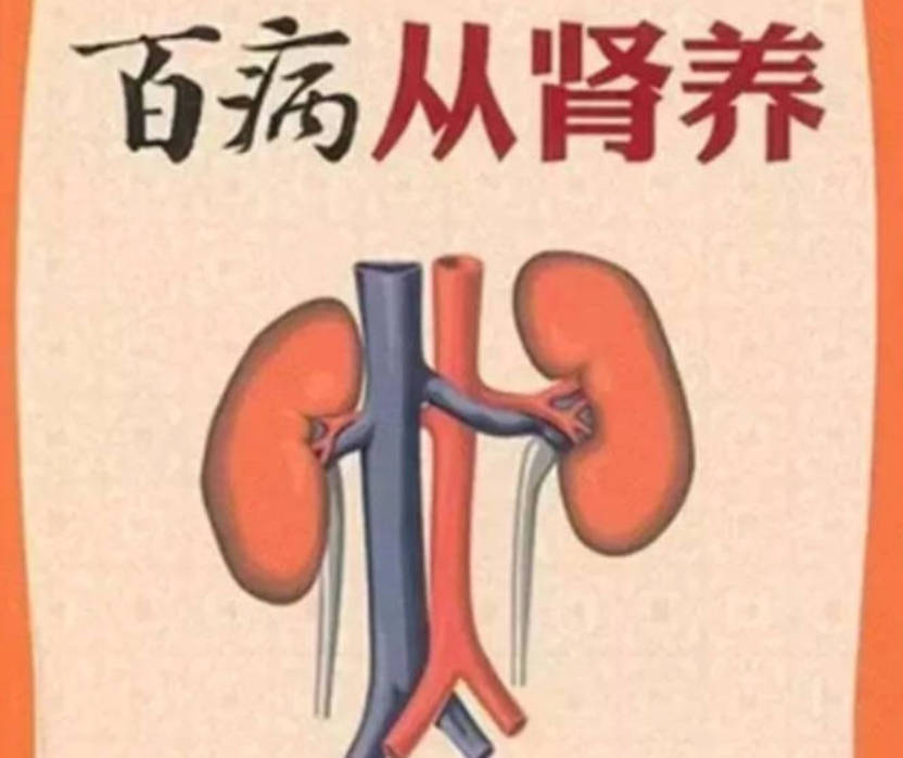 肾精亏虚吃什么药好？一个专补肾精的百年古方