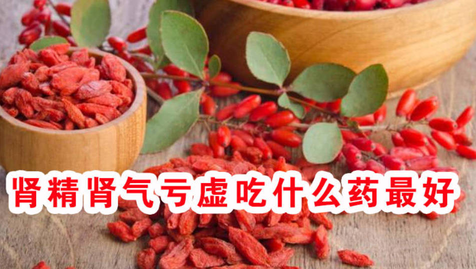 肾精肾气亏虚吃什么药好？以下这些你用过吗？