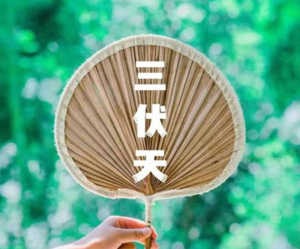 女人备齐3种零食，每天吃点，补气养血