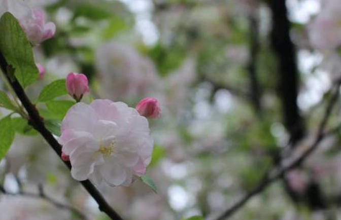 气血不漏就是补