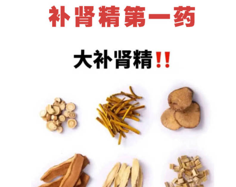 补肾精第一药、只用它就可以把肾精补足！