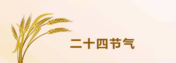 三伏天吃啥补气血