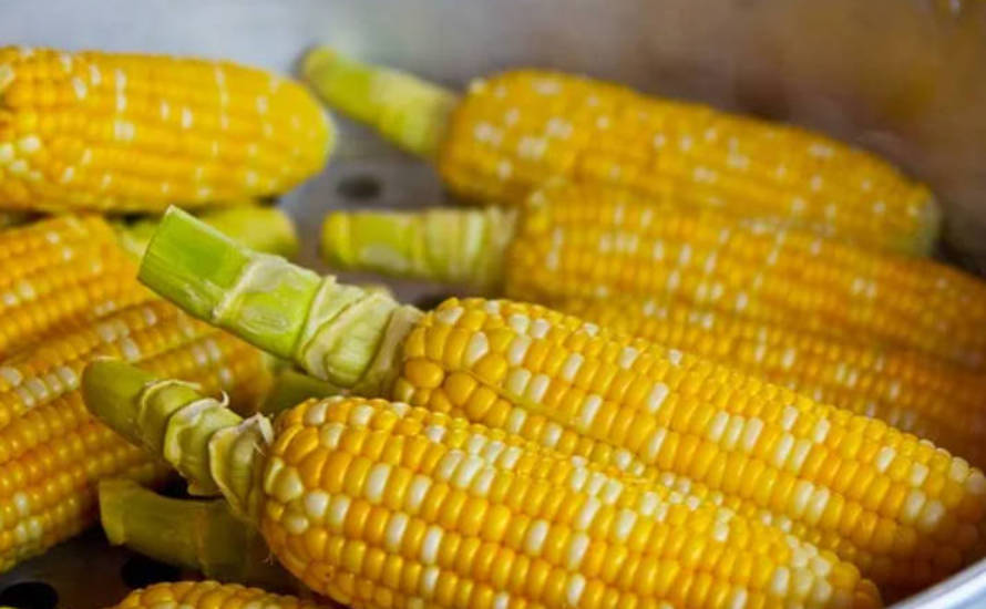 玉米.jpg