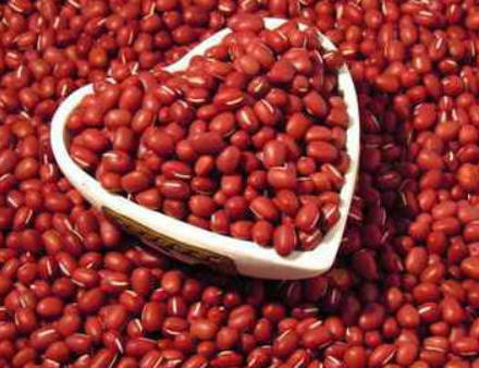 针对于不同体质的女性朋友，应该如何“对症补气血”