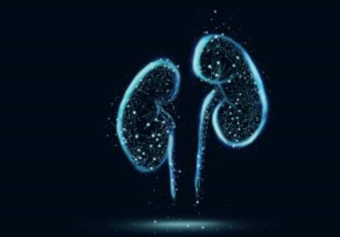 这三款食物能够有效补肾壮阳