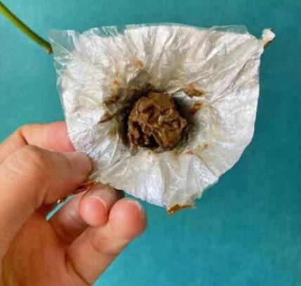 黑芝麻丸能长期吃吗 黑芝麻丸有什么搭配禁忌