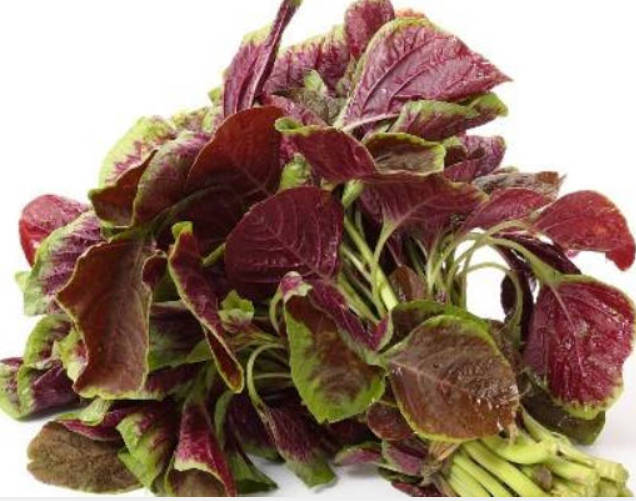 女人出现气血不足问题，可以多吃一些苋菜