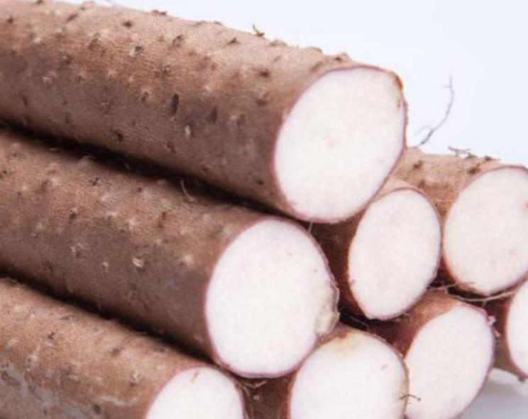 补气养血食疗法