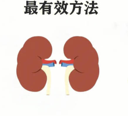 补肾养肾的方法有哪些 揭晓补肾养肾的四个方法