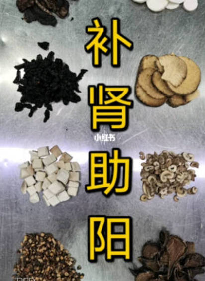 男人如何补肾 盘点七大补肾妙方