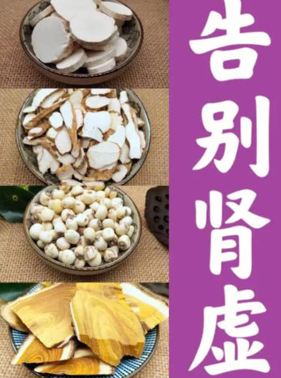 男人如何养肾补肾